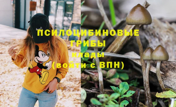 метадон Алзамай
