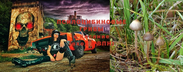 метадон Алзамай