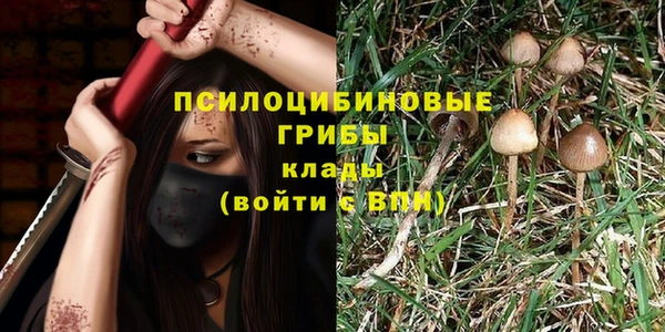метадон Алзамай