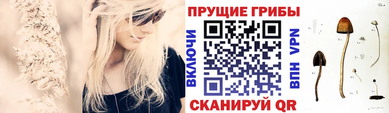 цены наркотик  Каргат  Псилоцибиновые грибы GOLDEN TEACHER 